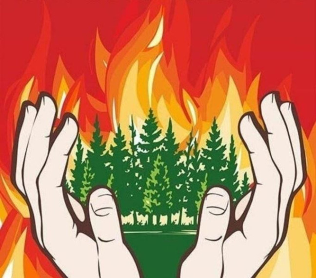 Уголок ГОЧС: защити свой дом от лесного пожара. Уголок ГОЧС: защити свой дом от лесного пожара.