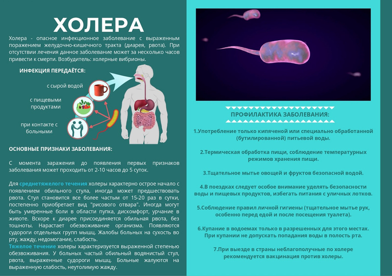 Можно ли заразиться от воды в общественном туалете