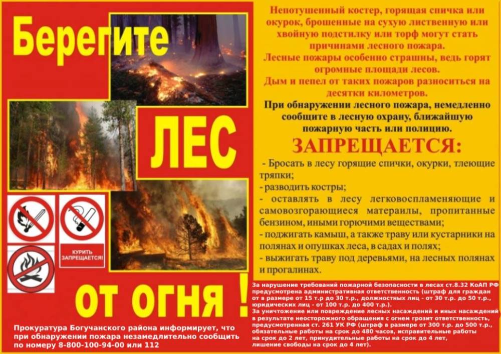 Берегите лес от огня!