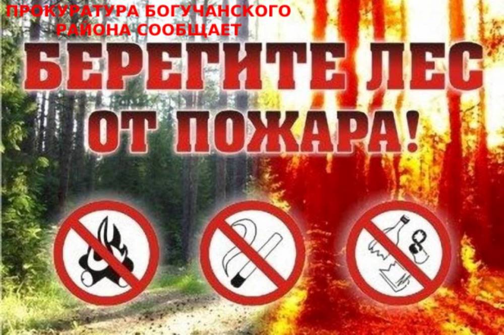 Берегите лес от огня!