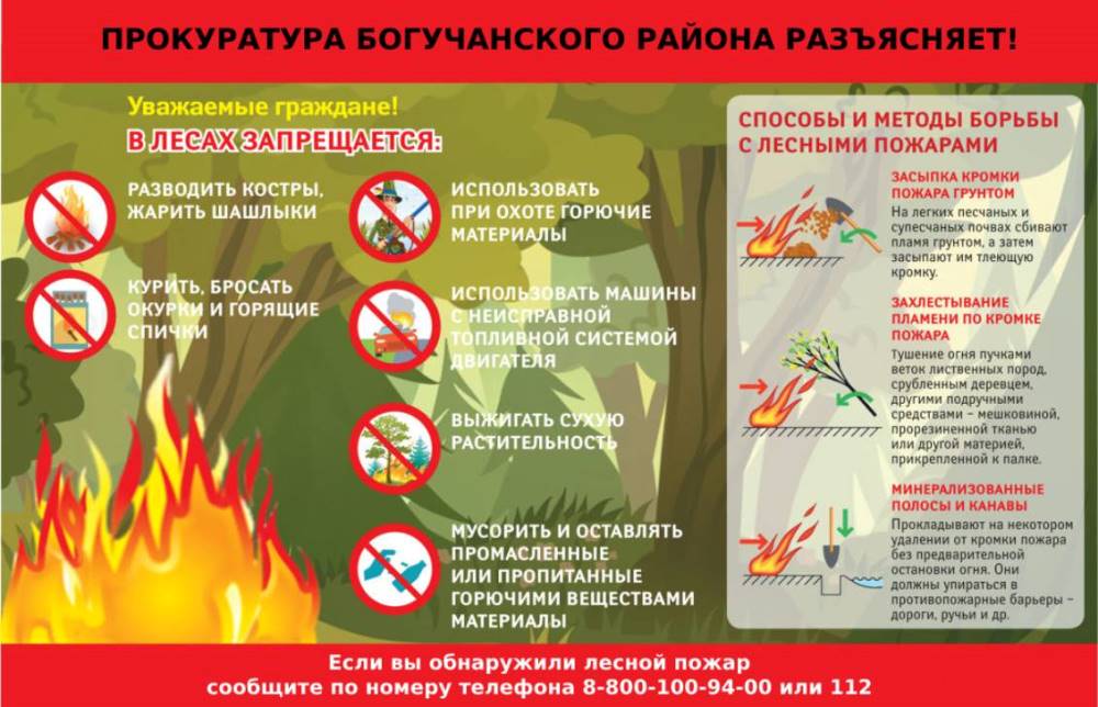 Берегите лес от огня!